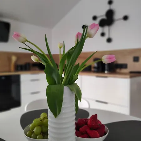 Dobranocka Apartamento Ściegny